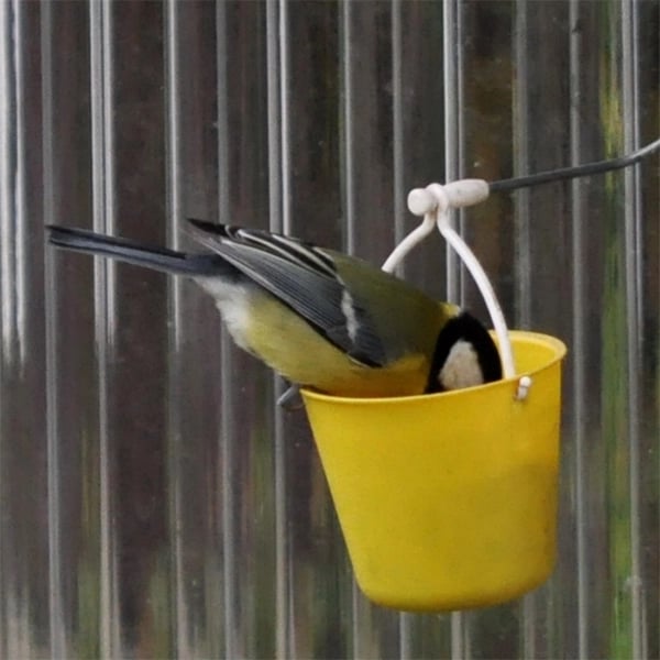 Imsgurus🔥Ferris Wheel Bird Feeder