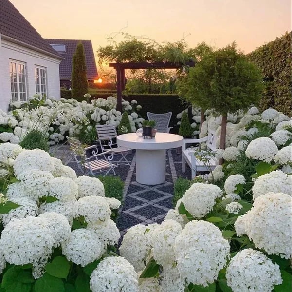 70% OFF-Outdoor Artificial Hydrangea Flowers💐