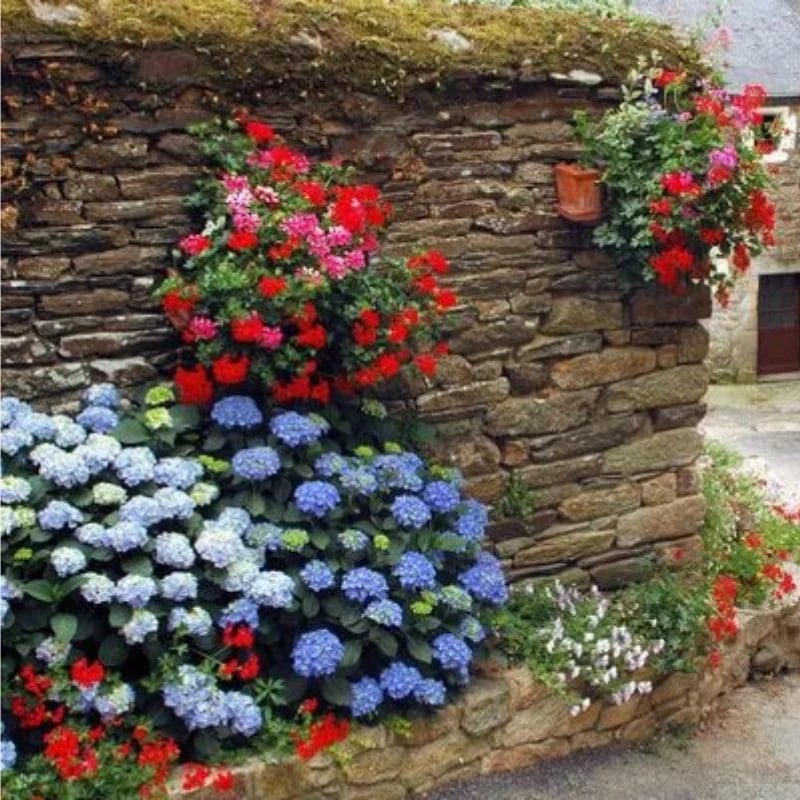 70% OFF-Outdoor Artificial Hydrangea Flowers💐