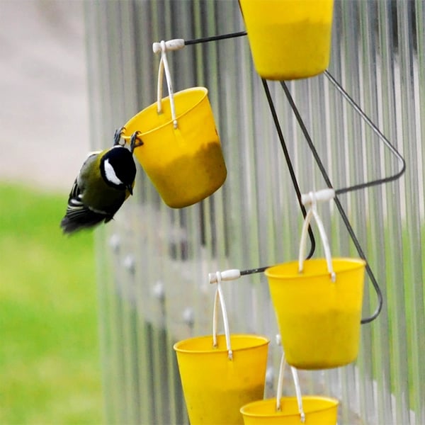 Imsgurus🔥Ferris Wheel Bird Feeder