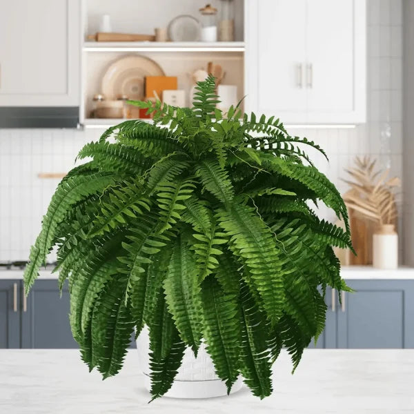 Imsgurus🔥UV Resistant Lifelike Artificial Boston Fern
