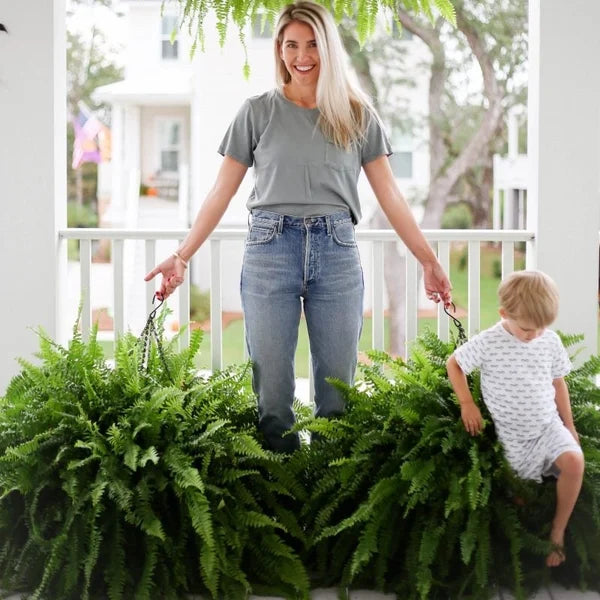 Imsgurus🔥UV Resistant Lifelike Artificial Boston Fern