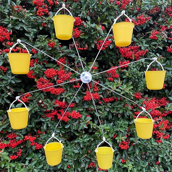 Imsgurus🔥Ferris Wheel Bird Feeder