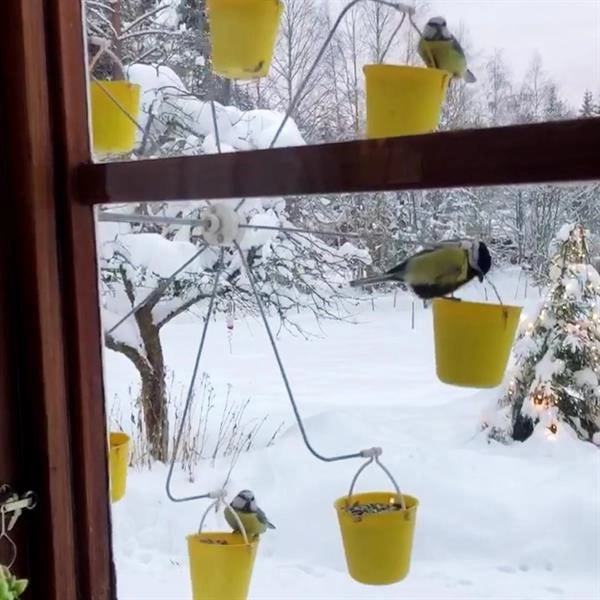 Imsgurus🔥Ferris Wheel Bird Feeder