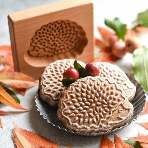 Imsgurus🔥Gingerbread Cookie Mold