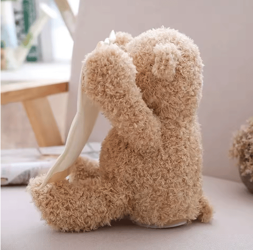 Smoothing the mood plush bear