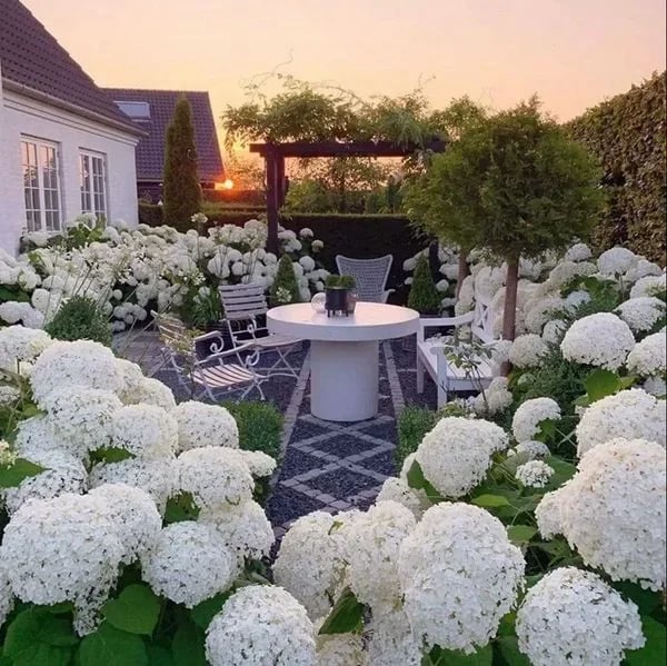 70% OFF-Outdoor Artificial Hydrangea Flowers💐