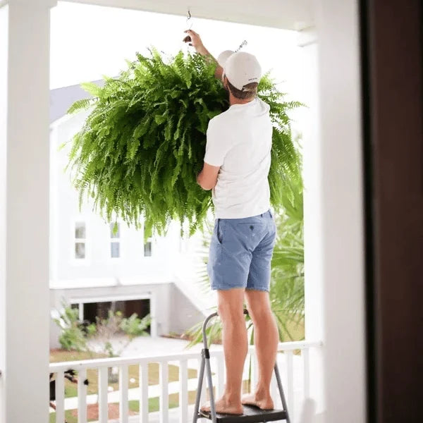 Imsgurus🔥UV Resistant Lifelike Artificial Boston Fern