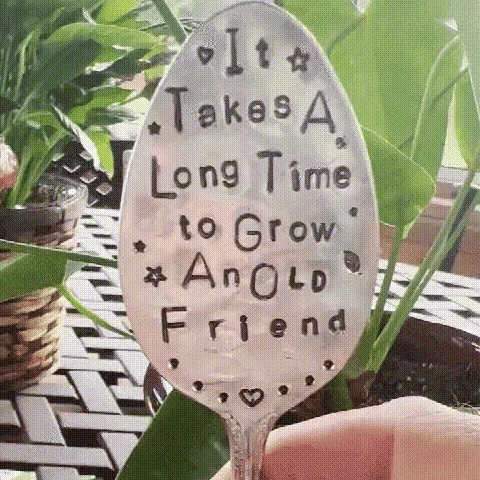Imsgurus🔥Garden Marker Friendship Gift